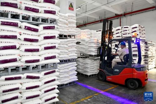 山東兗州 雙輪驅動產業升級,食品加工與紡紗銷售協同發展